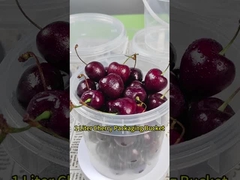 凝縮されたミルク ミツバチ アイスクリーム 食品グレード 清潔な保管容器